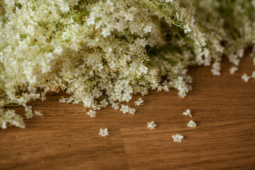 Gesammelte Holunderblüten