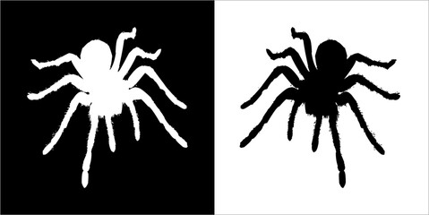 Illustration vector graphics of spider icon