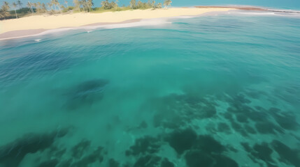 Obraz premium Abstract beautiful beach background with crystal clear water