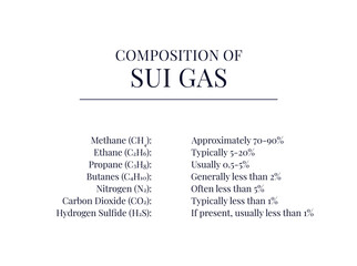 Composition of Sui Gas