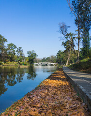 Ward's Lake aka Nan Polok in Shillong during autumn