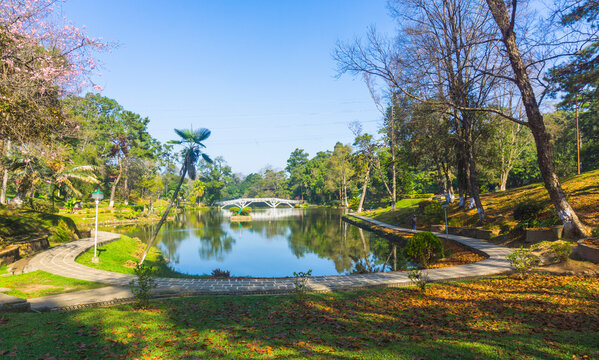 Ward's Lake aka Nan Polok in Shillong during autumn