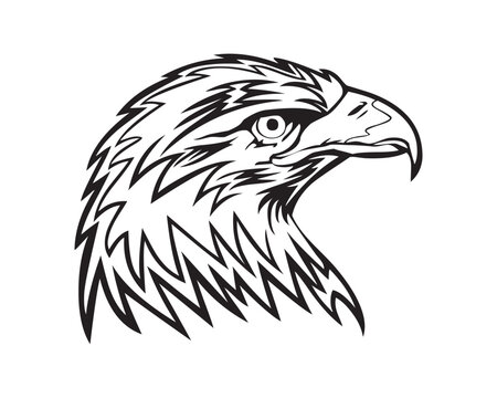 This is a vector eagle with various shapes and styles. Very suitable for use as a logo, background and additional element on a poster. Made in black, of course the color can be changed.