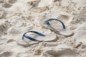 White pair of flip flops sticking up on a sandy beach with water © tonyram2