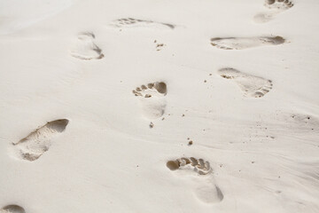 Footprints on the wet sand