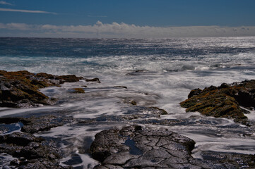 view of the coast of the sea in hawaii