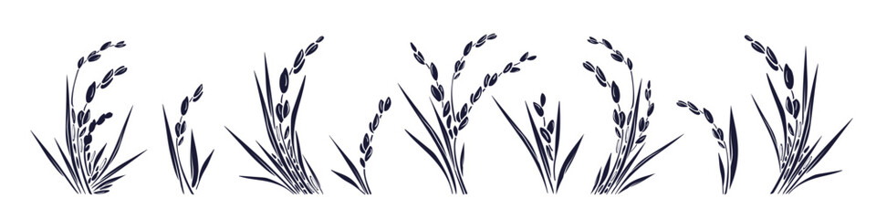 Rice plant and grains, leaves. Graphic collection - obrazy, fototapety, plakaty