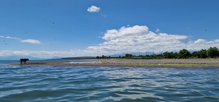 lake sevan armenia rural countryside and plastic pollution