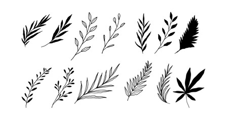 Tropical Leaves in doodle style. Aesthetic Hand drawn flowers Leaf, set of tree branches, Exotic summer botanical illustrations. great set collection clip art Silhouette on white background. - obrazy, fototapety, plakaty