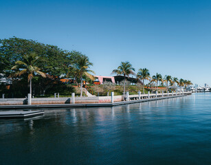 Fototapeta na wymiar resort views palms sea Coconut Grove Miami 