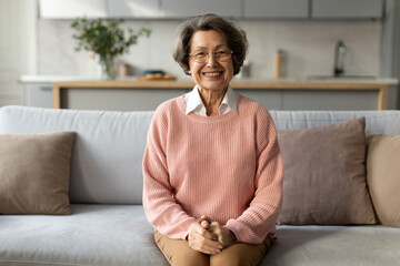 Smiling senior grey haired woman looking at camera, happy old lady posing at home sitting on sofa in living room interior