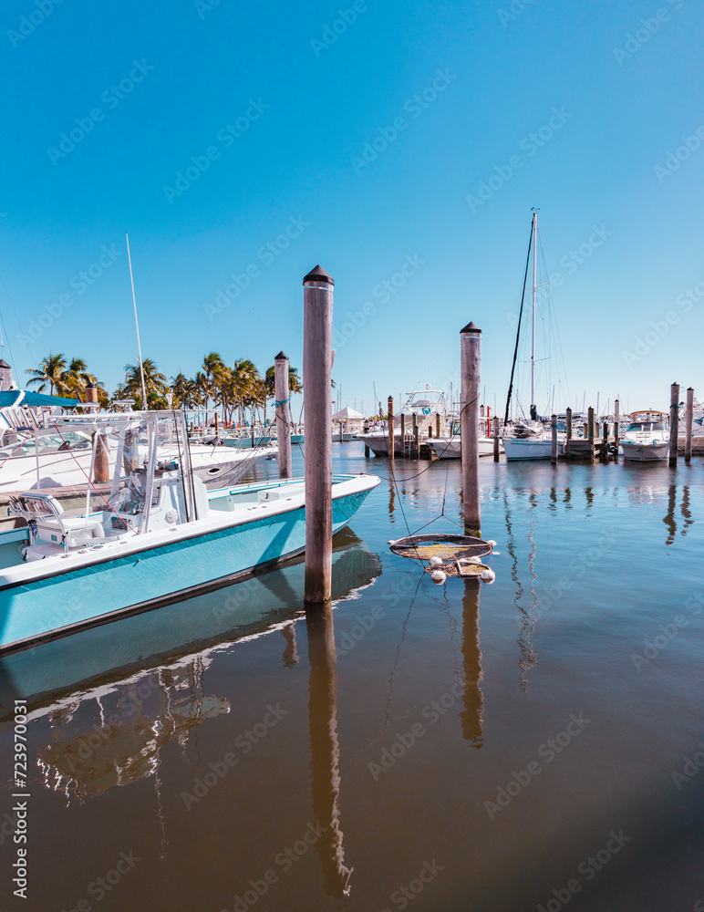 Wall mural boats in the marina coconut grove blue