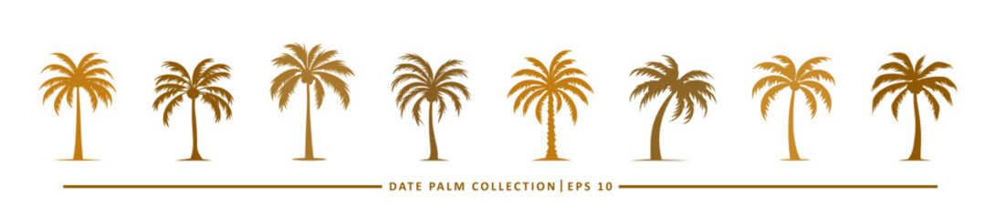 date palm icon collection - flat design icon