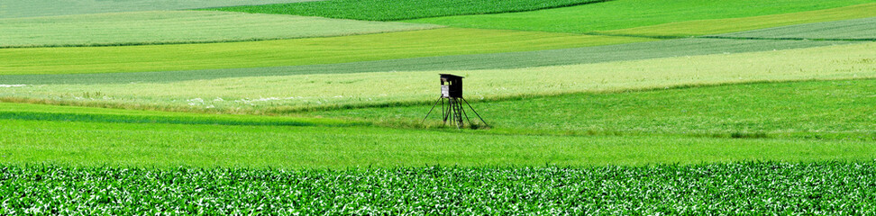 Naklejka premium panoramic view of fresh green meadows and fields near Eichstätt, Altmühltal, Bavaria, Germany