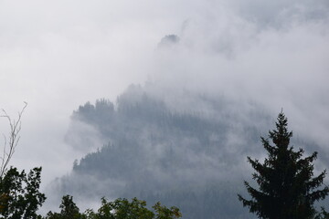 aufziehender nebel in den alpen