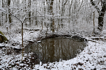 small lake in winter forest - 723973891