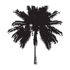 Black Coconut tree vector illustration, white background,