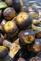 Fototapeta premium Close up view of Ice Apple fruits (Buah Siwalan or Lontar) on a local seller.