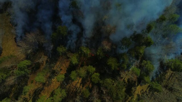 Waldbrand Feuer Schweden Brand Drohne Flug