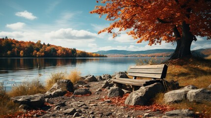 Autumn landscape with bench and trees UHD Wallpaper