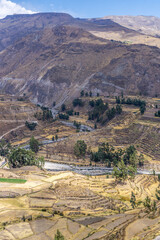 Agricultural terraces at the Colca Canyon near Arequipa