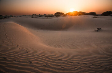 sunset in the desert