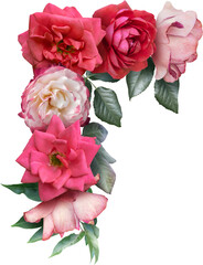 Red and pink roses isolated on a transparent background. Png file.  Floral arrangement, bouquet of...