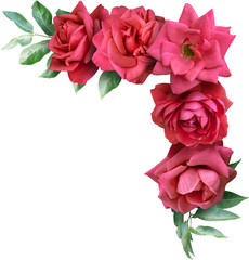 Red roses isolated on a transparent background. Png file.  Floral arrangement, bouquet of garden flowers. Can be used for invitations, greeting, wedding card.