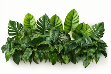 Immerse yourself in the allure of lush tropical foliage with this captivating PNG graphic. 