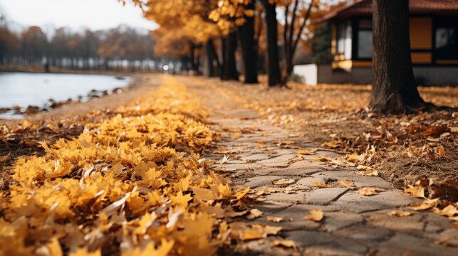 Beautiful autumn in the park UHD Wallpaper