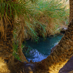 Ein Plutit spring and pool, Dead Sea