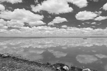 black and white picture of the lake landscape with reflecting clouds in Amboseli NP