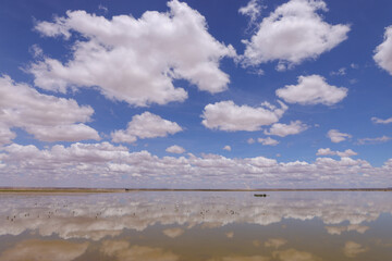 Fototapeta na wymiar clouds reflects in a lake in Amboseli NP