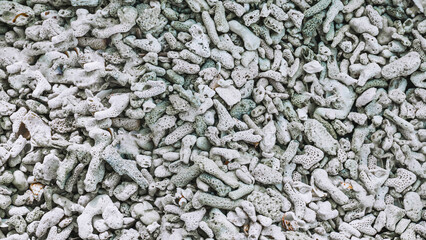 Coral reef on sandy beach. Dead coral reefs carried by the waves on the shoreline. Piled up like pebbles. Background of coral reefs and shells on the beach.