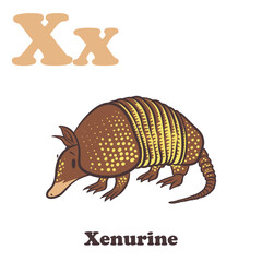 Xenurine Alphabet Cartoon Character For Kids