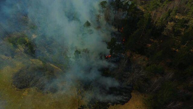 Waldbrand Feuer Schweden Brand Drohne Flug