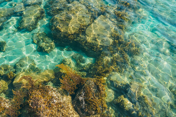 Top view to the bottom of the sea on the beach. Pebbles sand and fish. Sun glare and coral on the surface of the water and the sandy bottom.