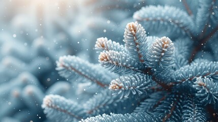 Close-up of snow-covered fir tree branches against blurred background of falling snow - obrazy, fototapety, plakaty