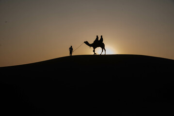 Fototapeta na wymiar silhouette of a camel