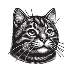 Cute tabby cat. Head, face, portrait.
Vintage vector engraving illustration. Black and white color. isolated object. Icon, logo, emblem