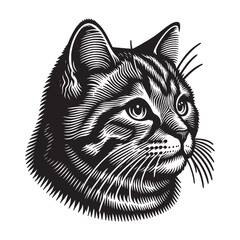Cute tabby cat. Head, face, portrait.
Vintage vector engraving illustration. Black and white color. isolated object. Icon, logo, emblem