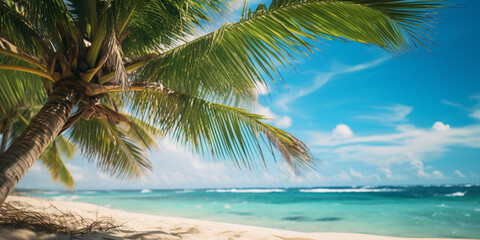 Obraz premium Tropical beach panorama view, coastline with palms, Caribbean sea in sunny day, summer time