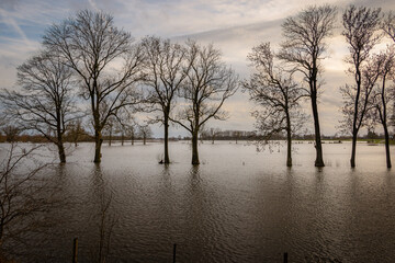 The flooded floodplains and the many hiking trails during weeks of heavy downpour, caused by climate change, near the rain river IJssel in the province of Overijssel, the Netherlands