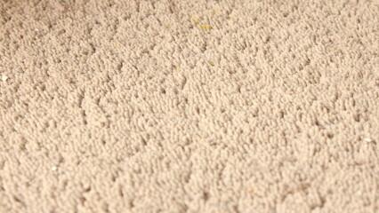 Grey Carpet Close-Up, Abstract Grainy Background