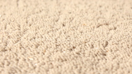 Abstract Grey Texture, Close-Up Shot of Grainy Carpet Surface