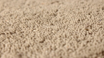 Grainy Grey Surface, Close-Up Shot of Carpet Texture