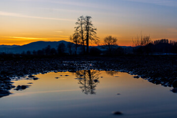 A reflection in the water