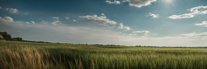 Obraz premium beautiful spring landscape wide banner