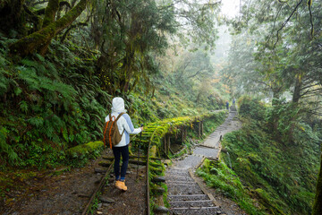 Woman go hiking in foggy mist forest in Taipingshan Jianqing Huaigu Trail