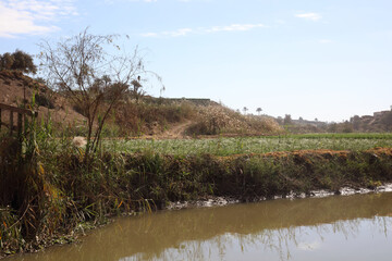 The Stream in El Nazlah Village